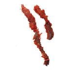 85g Pickled Lugworm Bait for Saltwater Fishing