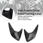 Side Frame Cover Panel for Triumph Street Triple 765 R/RS (2020–2022)