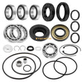 Rear Axle Bearings & Seals Kit for Honda Sportrax 250 2x4 TRX250EX (2001–2008)