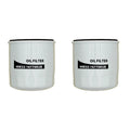 2 Oil Filters for Kubota RTV UTV RTV-X900 RTV-X1100CR RTV-X1100CW (HHK32-16770)