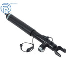 2X Rear Shock Absorbers for Lincoln MKS (2013-2016)