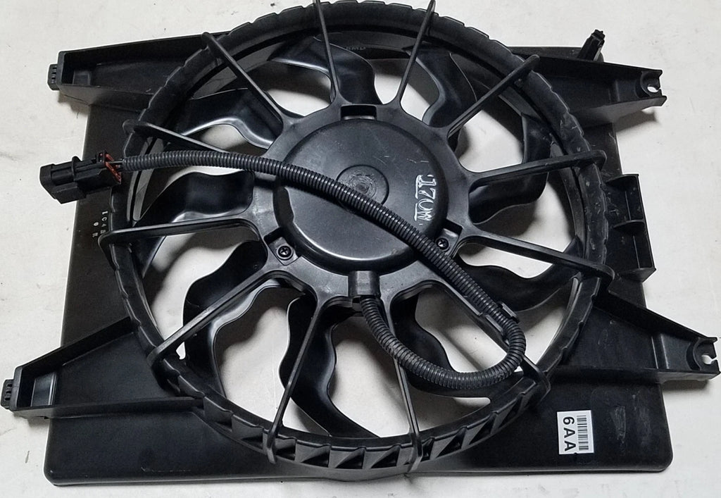 Radiator Fan Assembly for TYC 601090-G (Fits )