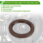 Front Crankshaft Oil Seal for Toyota 4Runner Camry Sienna (1996–2023) No. 90311-40022