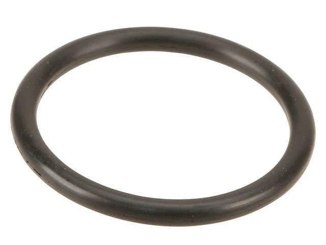 Water Pipe O-Ring for Jaguar Vanden Plas (2004–2009) WT699VV