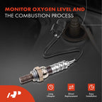 Oxygen Sensor for Honda Accord (2013-2017)