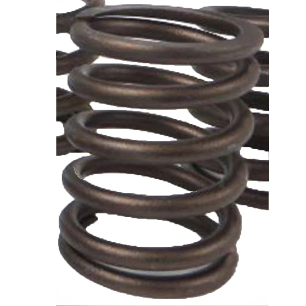Inner Valve Spring for Caterpillar Industrial Construction (1944902)