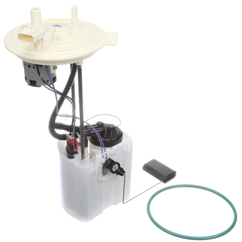 Delphi FG1166 Fuel Pump Module Assembly for Ford F-150 (2009–2014)