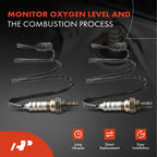 2X O2 Oxygen Sensors for Nissan Frontier (2001–2002)
