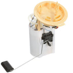 Delphi FG2085 Fuel Pump Module Assembly for Audi A3/Volkswagen Golf (2015–2016)