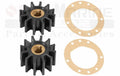 Minor Repair Kit for Sherwood D-55 Sea Water Pump (10922)