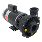 4HP 230V 2-Speed Pool Pump for Black 56Y (3721621-13)