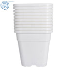 Set of 10 Square White Nursery Pots for Plants