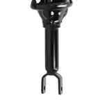 2X Rear Struts w/ Coil Spring Assembly for Honda Accord (1994–1997) 1006