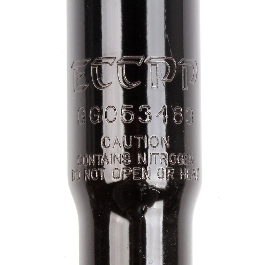 Rear Shocks Struts for Dodge Dakota Durango (1997–2004)