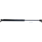 Lift Support for Lexus GS300 (1998–2004) Hood, Driver & Passenger Side