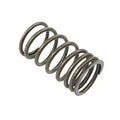 A-31745121-AI Valve Outer Spring for