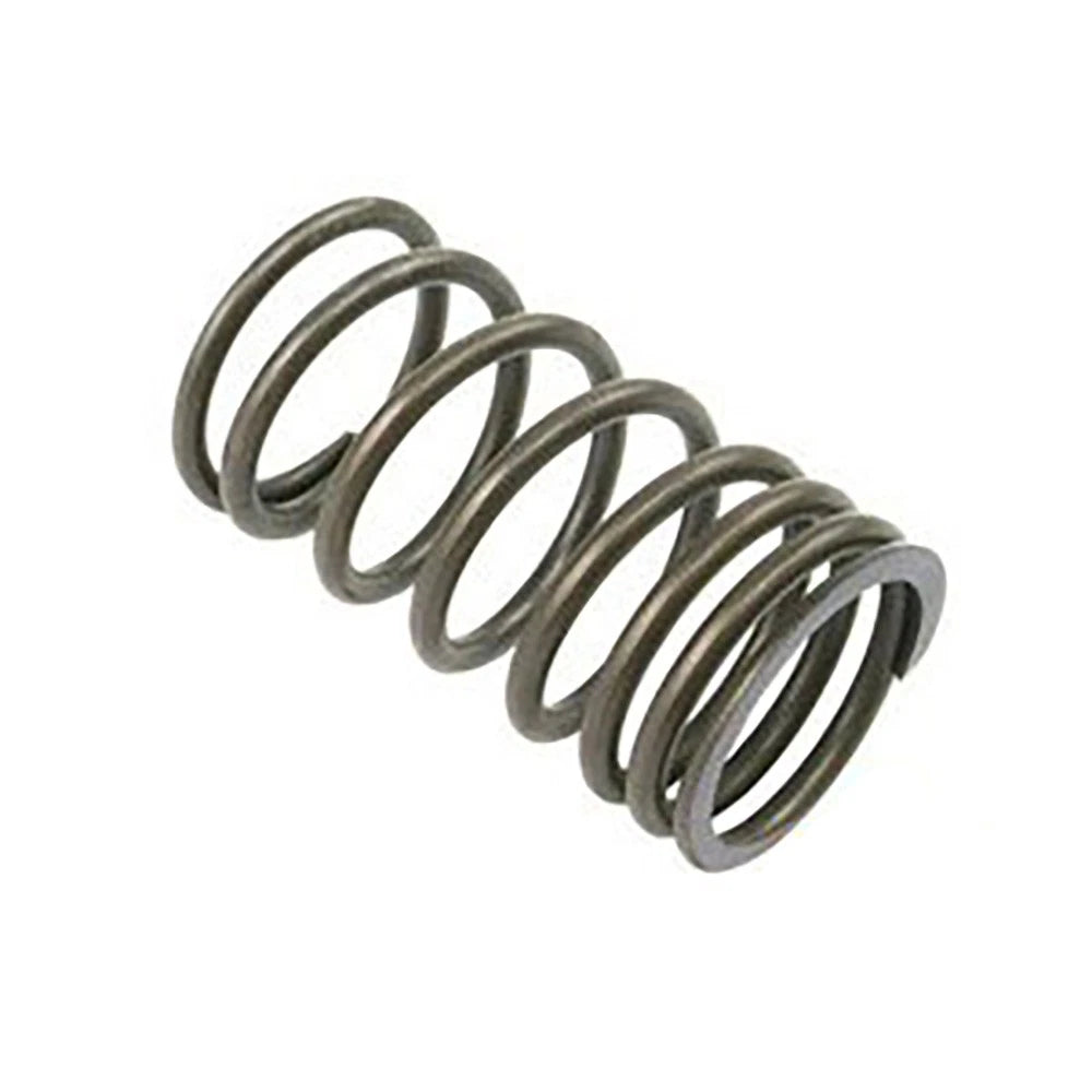 A-31745121-AI Valve Outer Spring for