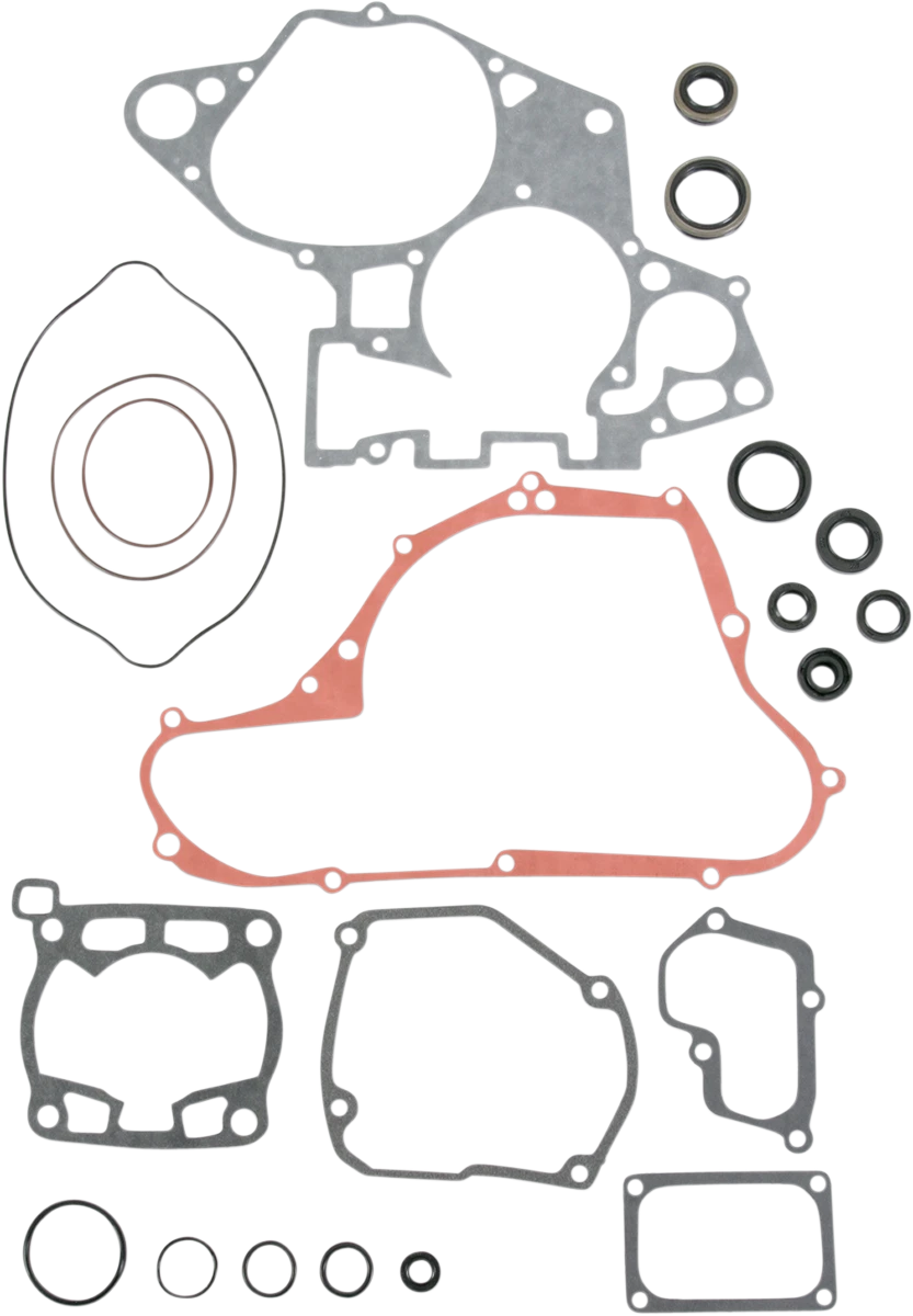 Motor Gasket Kit with Oil Seal for Suzuki (811548mse)