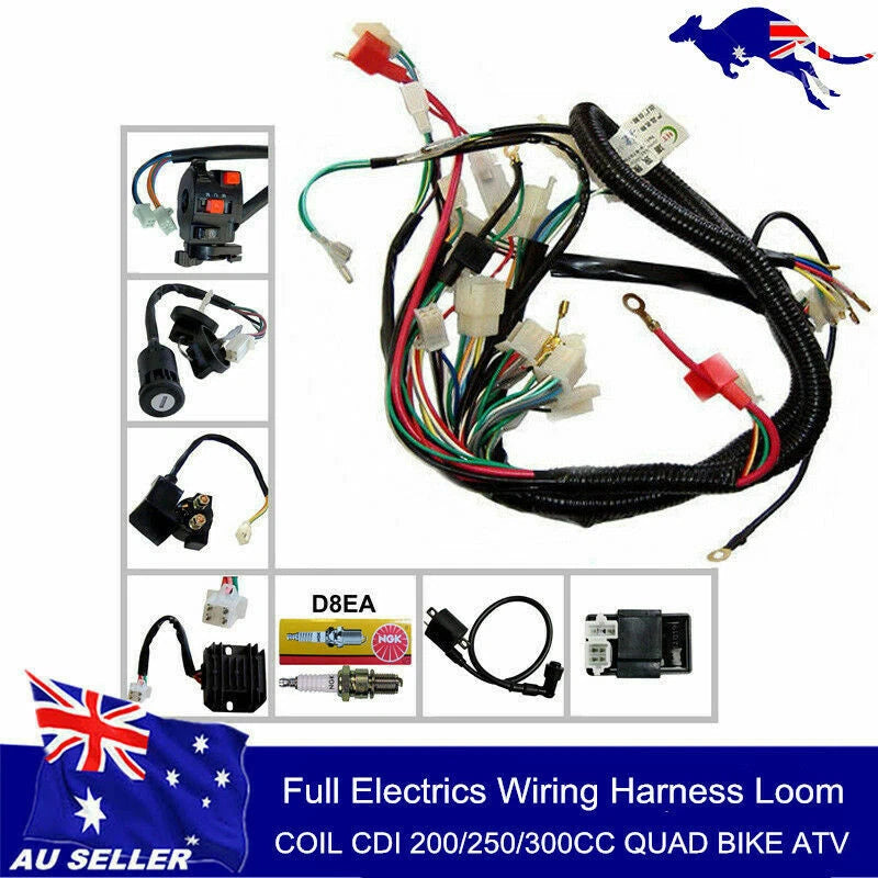 Wiring Harness CDI Coil for 200cc 250cc ATV Quad Bike Buggy Gokart (2000–2023)