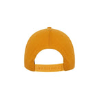 Mack Trucks Baseball Cap Adjustable Snapback Trucker Hat (Allentown Logo)