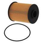 Fuel Filter for Blue Bird, Dodge, Hyster, Thomas, Volvo (1997–2016) 4941252