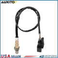 Wide-Band O2 Sensor for VW Jetta 1.8L (1999–2005)