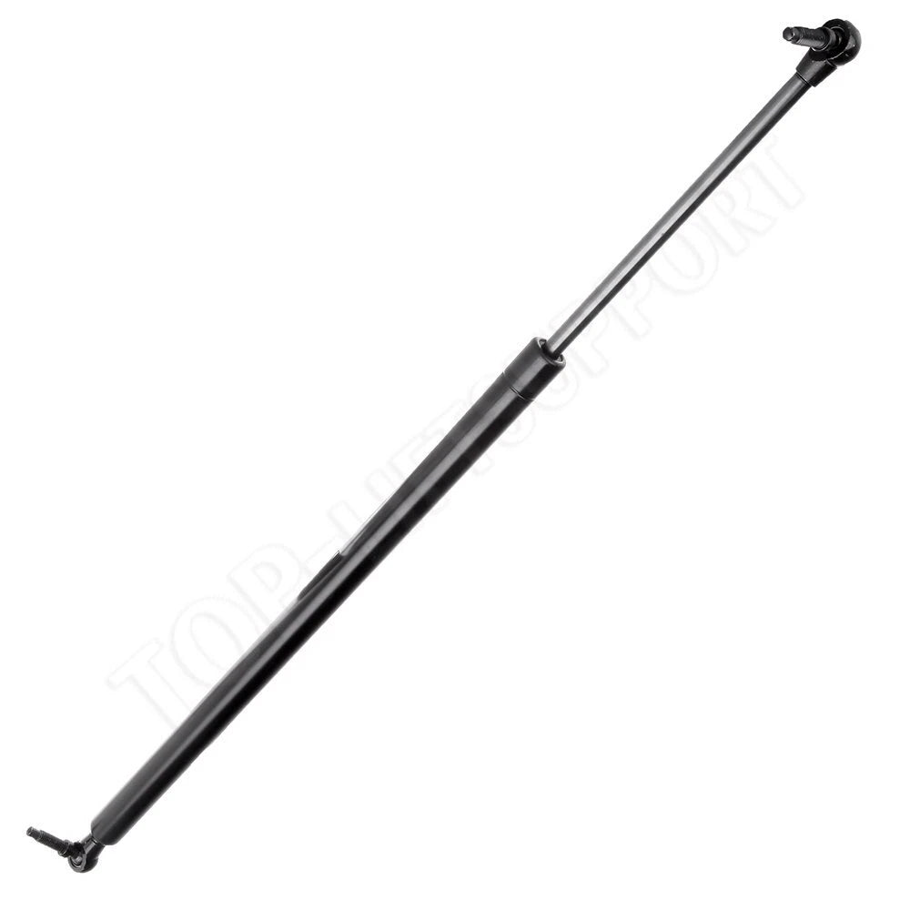 2 Rear Liftgate Lift Supports for Town & Country (2001-2007)