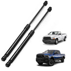 2x Hood Struts Shocks Lift Support for Dodge Ram 1500 2002-2008, 2500 2007-2010