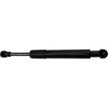 Trunk Lid Lift Supports for Driver & Passenger Side