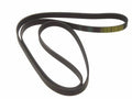 Multi Rib Belt for Mazda 6 (2008) K369TS
