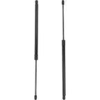 Liftgate Struts Set of 2 for Mitsubishi