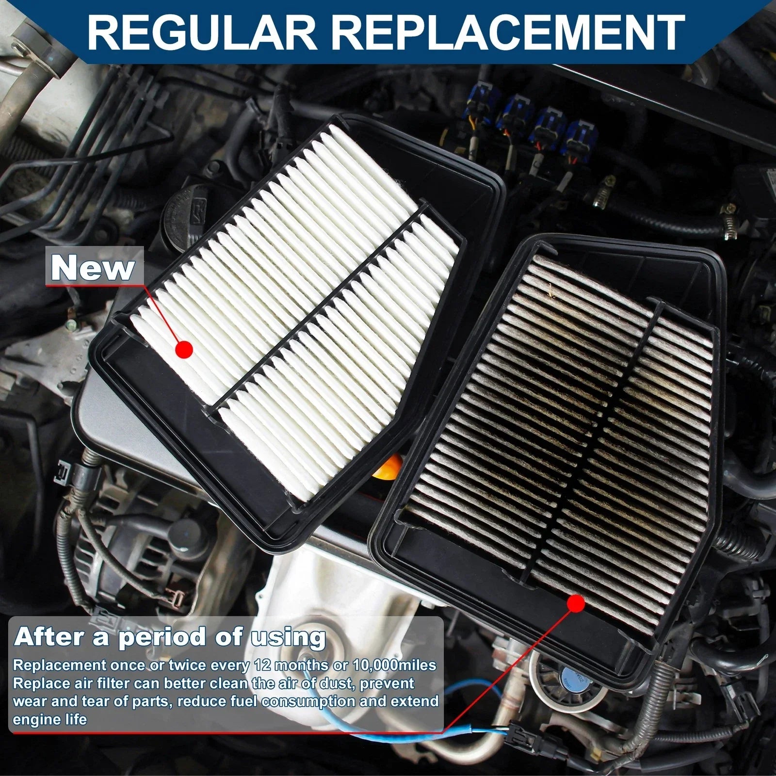 Engine Air Filter for BMW 545i Base 4.4L (2004 - 2005)