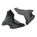 Side Frame Fairing Cowl Guards Radiator Cover for BMW R1250GS (2018–2023) Carbon