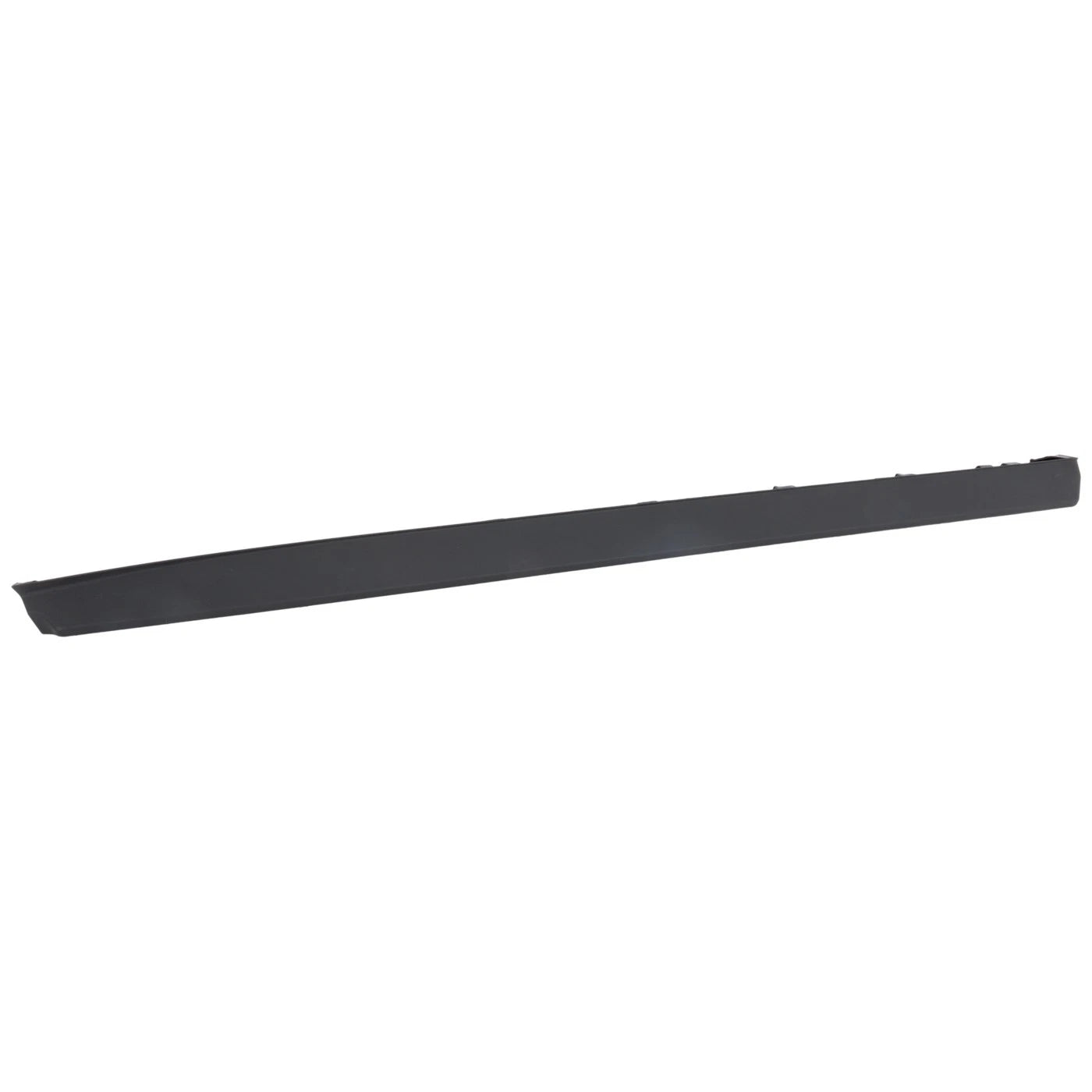 Door Moldings for Front Driver Left Side Lower (2015–2020)