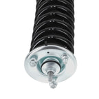 Complete Shocks Struts Coil Spring for Nissan Pathfinder (2005-2012)