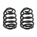 2X Rear Coil Springs for BMW Z4 E85 (2003–2008)