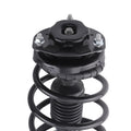 Strut w/ Coil Springs for Toyota Camry Lexus ES300 (2002–2003) 171490 171491