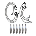 Denso 8mm Wire Set & 6 Platinum TT Spark Plugs for Ford Windstar (1995–2003)