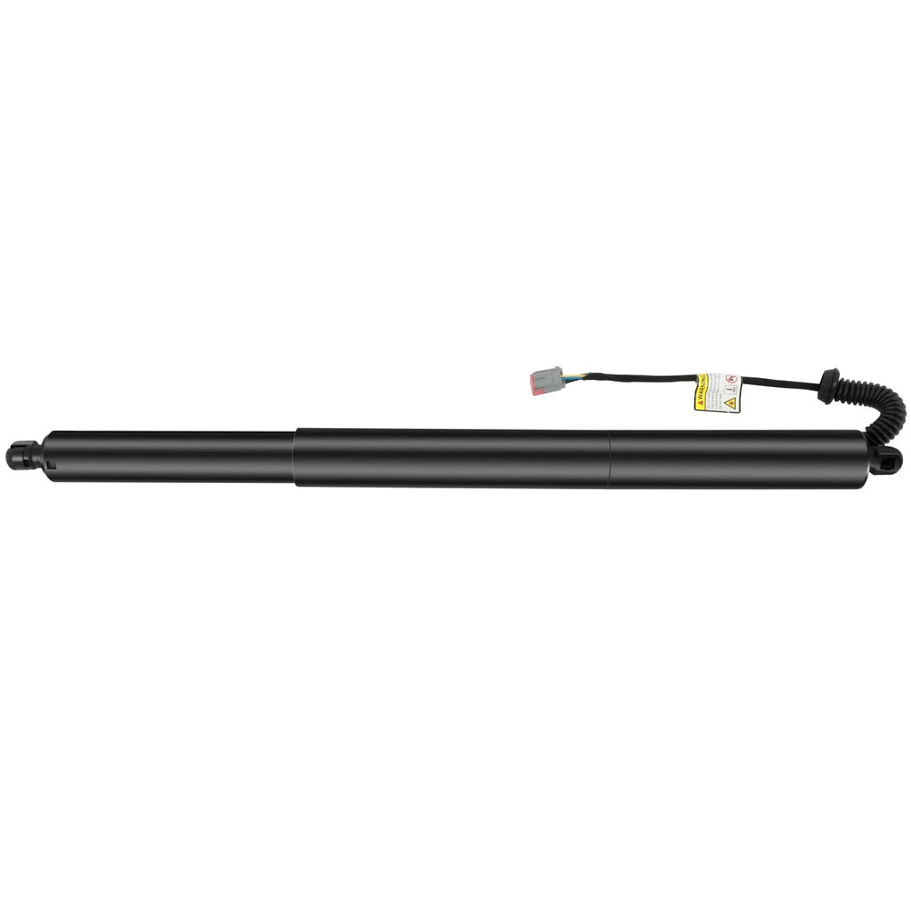 2X Lift Supports for Ford Edge (2015–2018) Gas Struts Liftgate