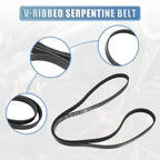 V-Ribbed Serpentine Drive Belt for Toyota Corolla (2003–2008) No. 03D145933AD
