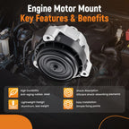 2X Engine Motor Mounts for BMW 528Li 530Li 730Li (2018)