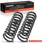 2X Front Coil Springs for Ford Mustang (1981–2004)