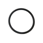 Set of 2 O-Rings for Evinrude Johnson (322501, 0322501)