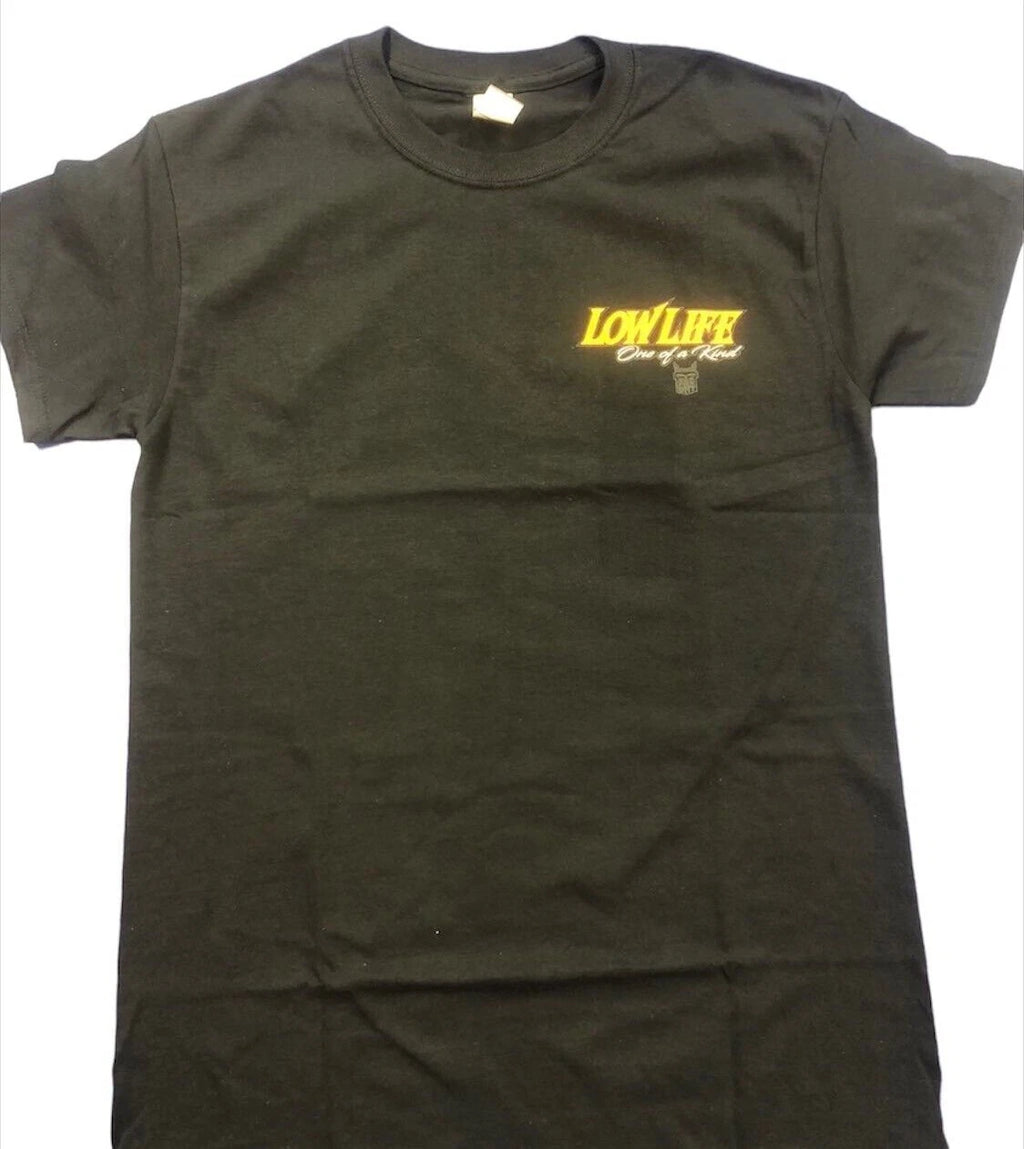 Graphic Trucker T-Shirt & Hoodie for Big Rig Trucks BRT
