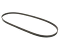 Multi Rib Belt for Suzuki XL7 (2002–2006) ZT336SQ