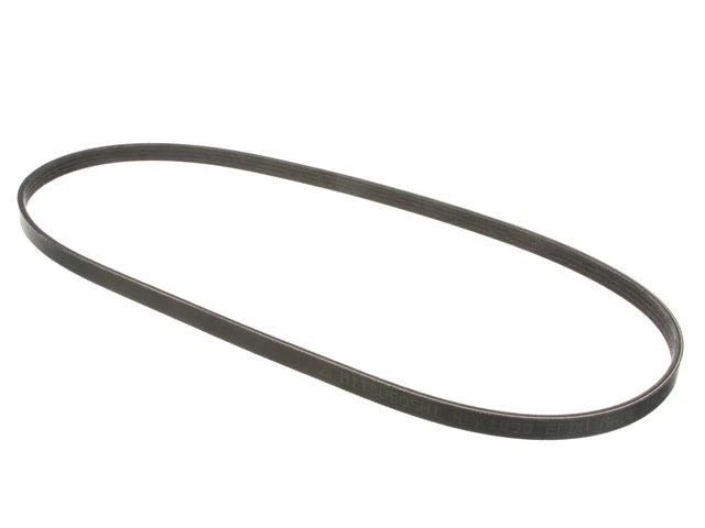 Multi Rib Belt for Suzuki XL7 (2002–2006) ZT336SQ