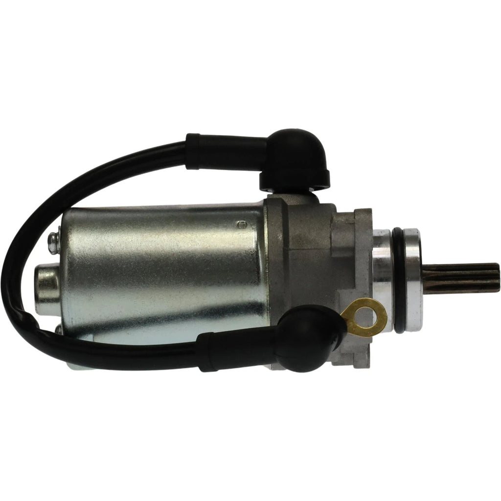 Starter for 50CC 80CC Raptor, Badger, Grizzly (1989-2008)
