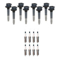 Set of 8 Ignition Coils & Denso Iridium Spark Plugs for F-150 Mustang (2011–2021)