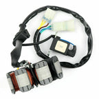 Alternator Magneto Stator for Honda ATV TRX 250 EX Sportrax TRX 250 X (2006–2017)