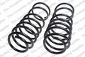 Front Coil Spring Set for Lesjofors (4114914)